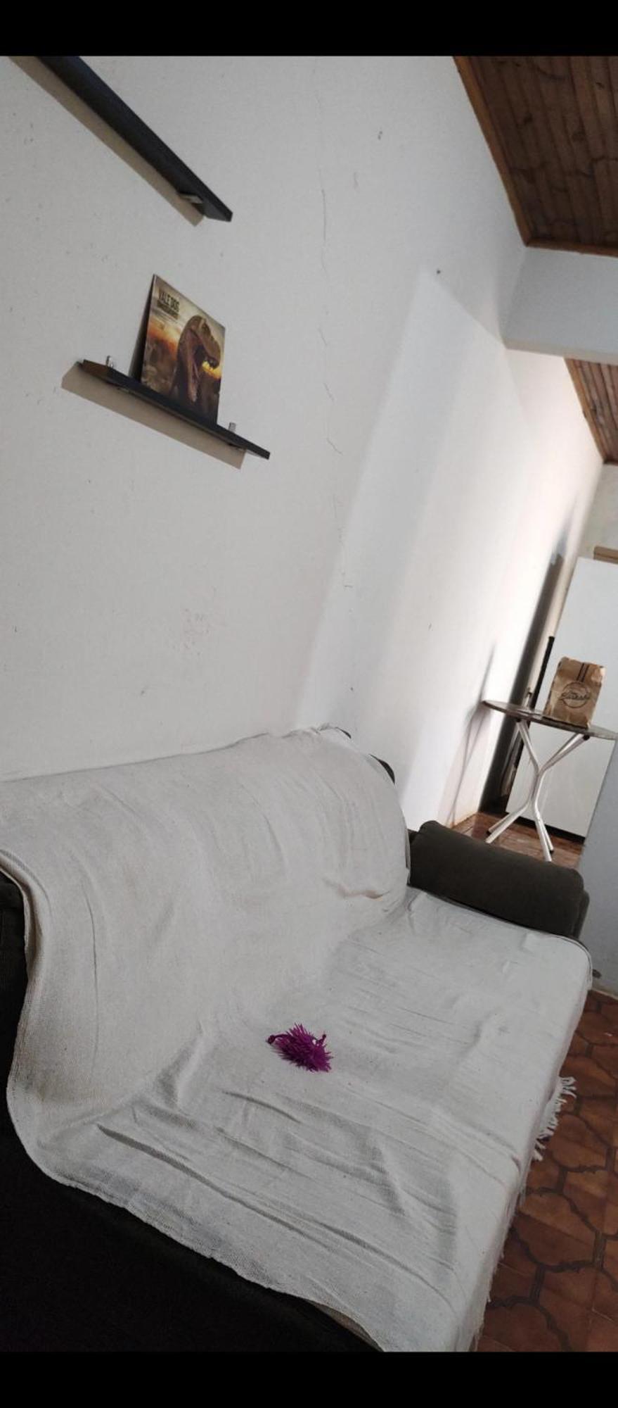 Pe De Pitanga - Unica Casa Arborizada Do Quarteirao Com Arvores Frutiferas Maringá Esterno foto